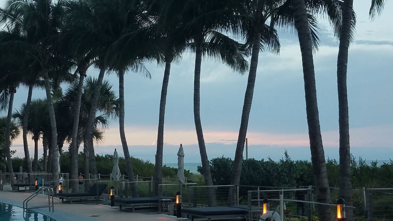 Photo of Outdoor in North Beach