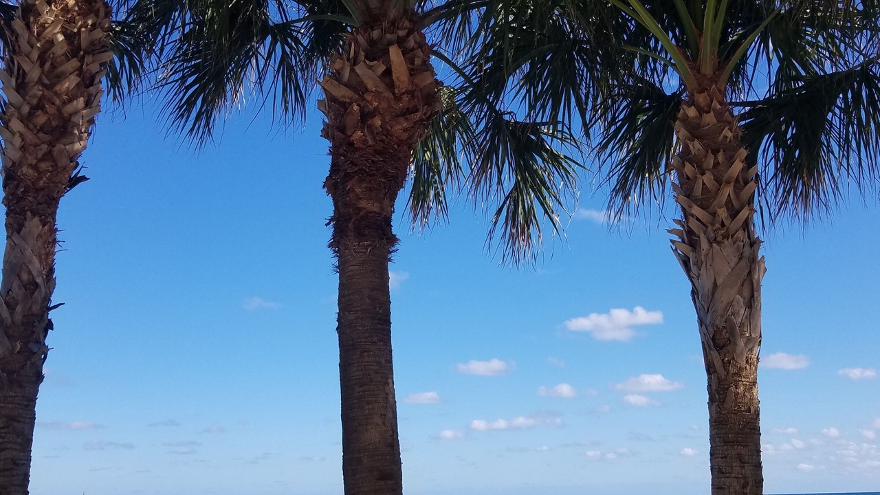 Photo of Outdoor in North Beach