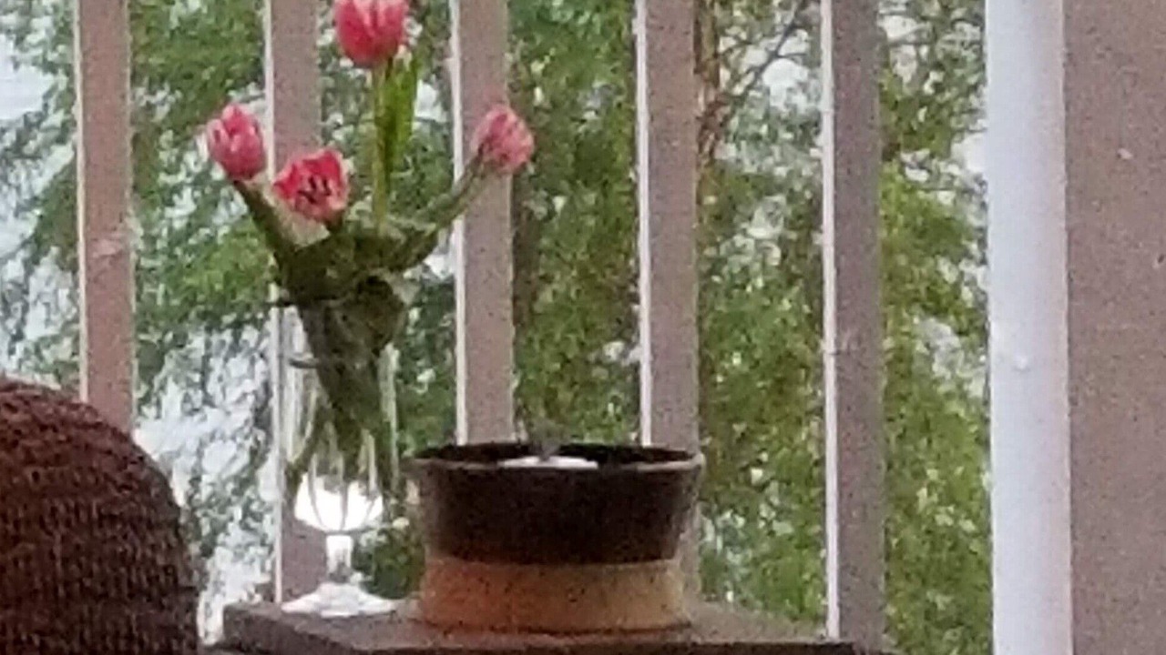 Photo of Outdoor in White Stone