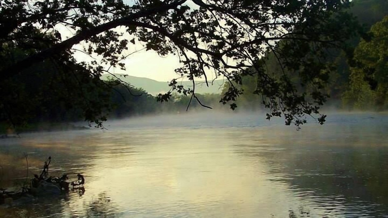 Photo of Others in Luray