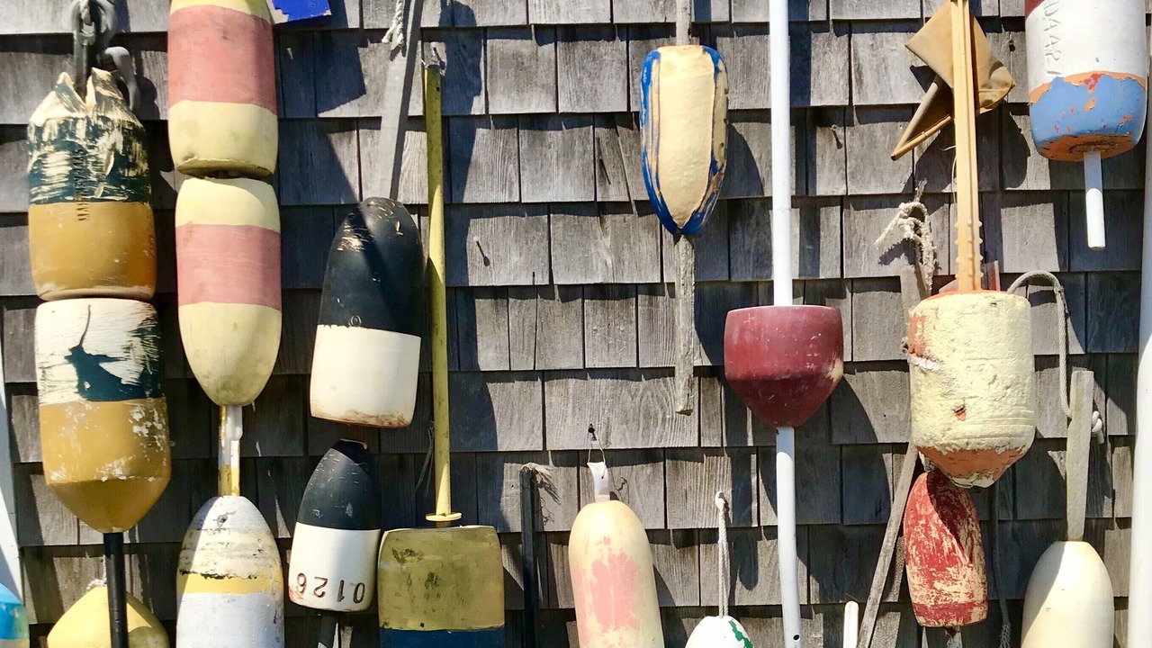 Photo of Others in Wellfleet
