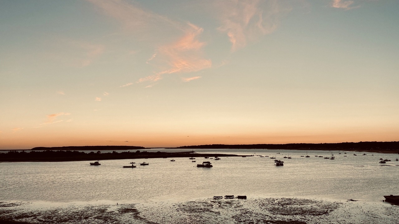 Photo of Others in Wellfleet