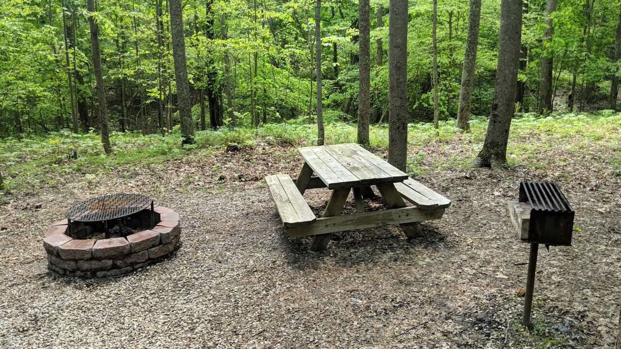 Photo of Outdoor in Mauckport
