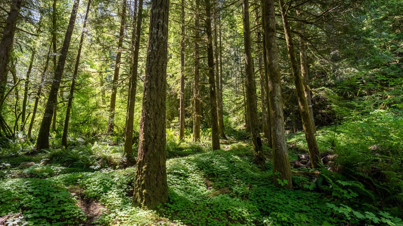Photo of Outdoor in Marmot