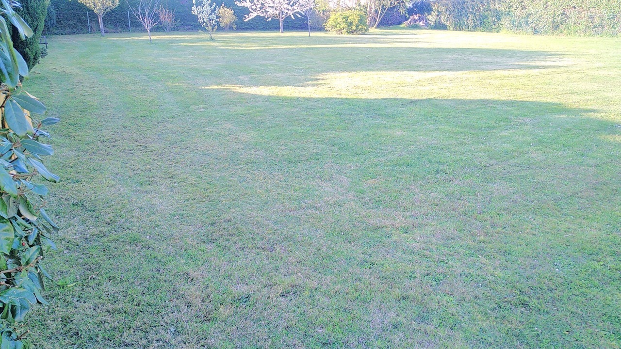 Photo of Outdoor in Langueux