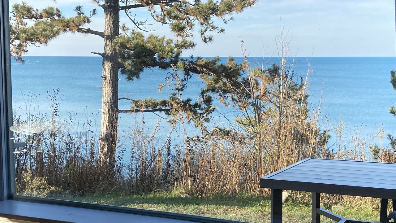 Photo of Outdoor in Porter Beach