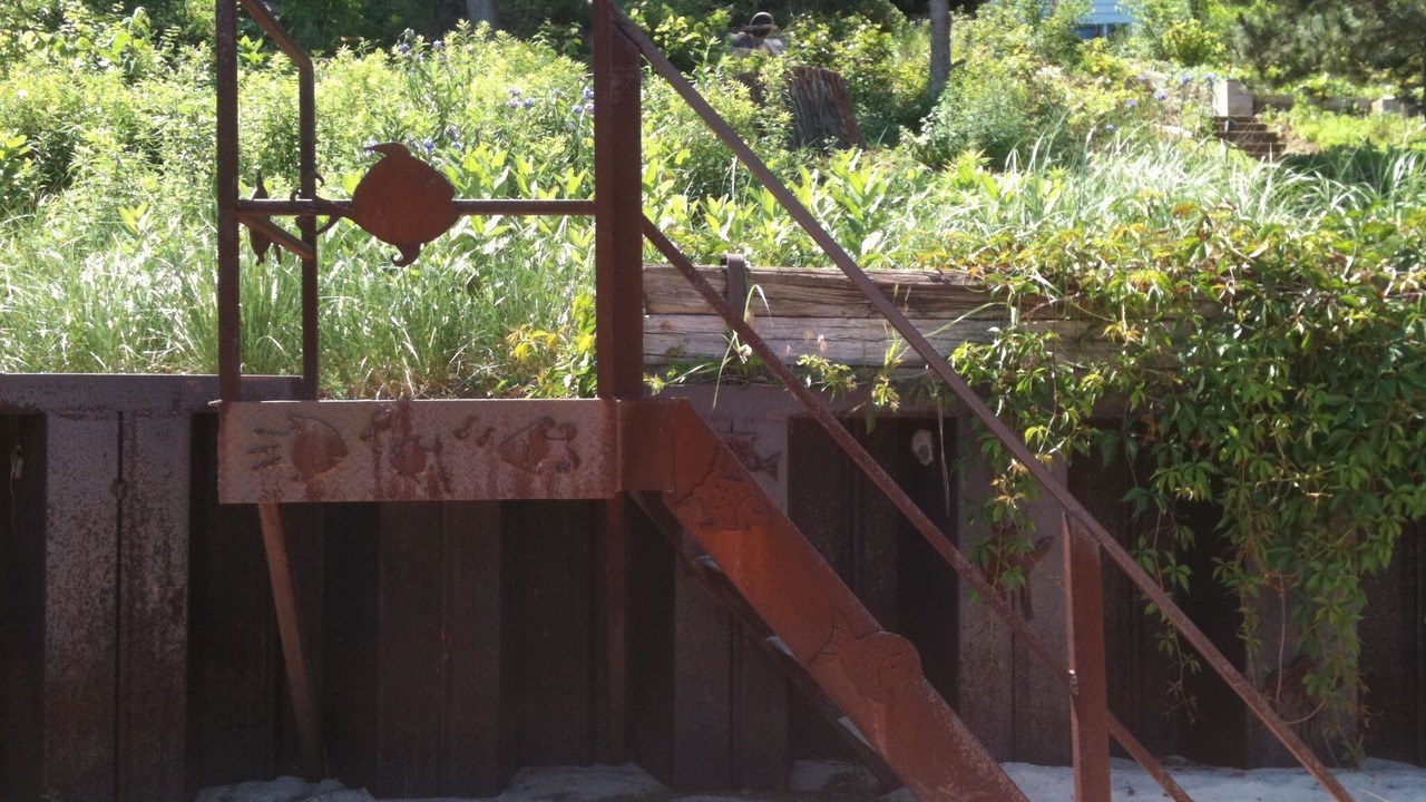 Photo of Outdoor in Porter Beach