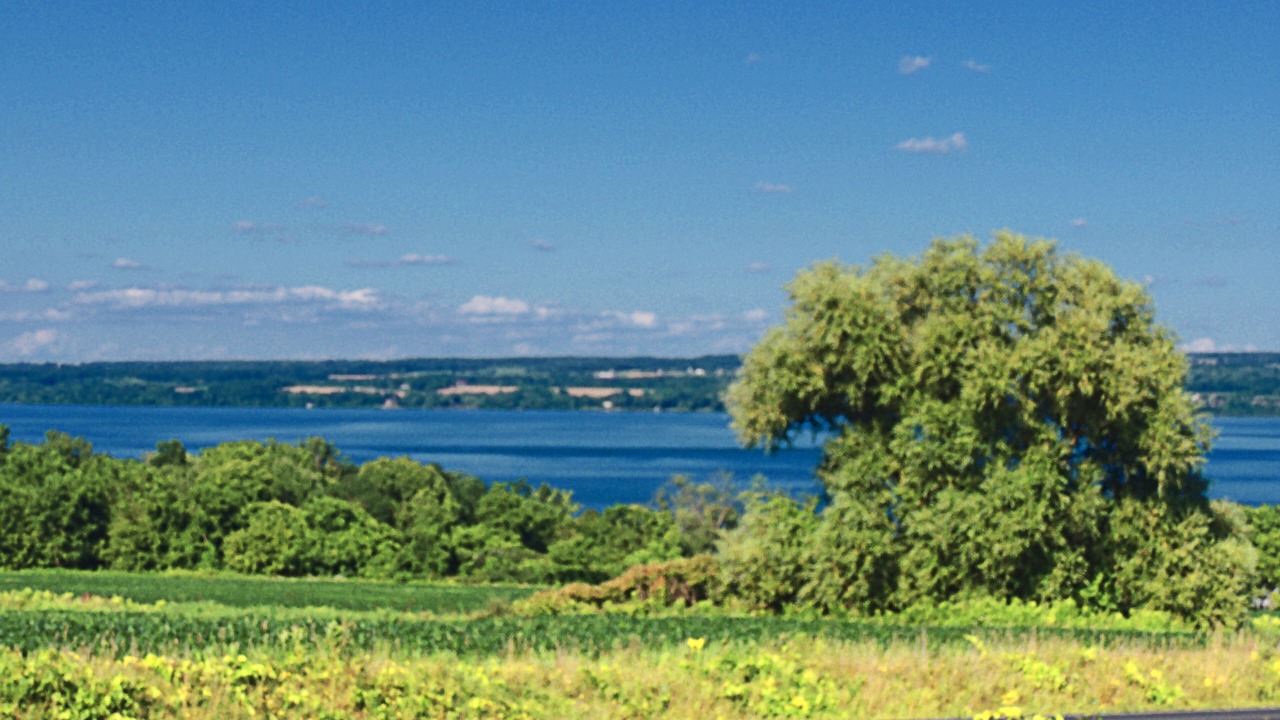 Photo of Outdoor in Romulus