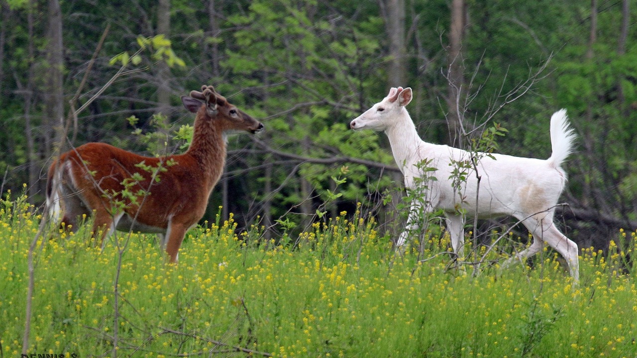 Photo of Others in Romulus