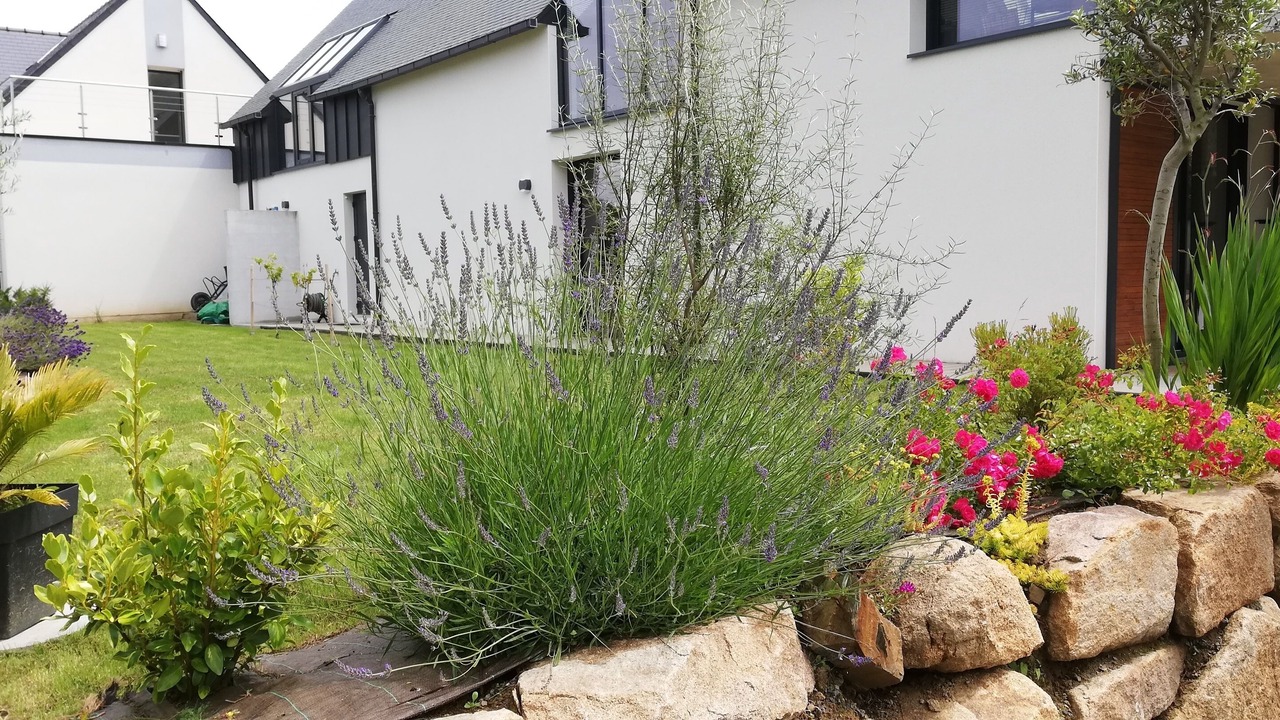 Photo of Outdoor in Louannec