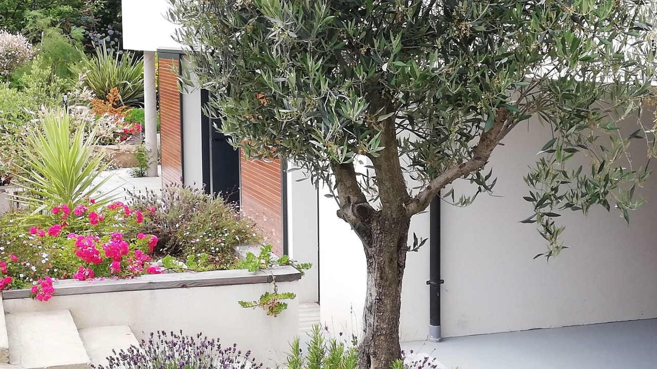 Photo of Outdoor in Louannec