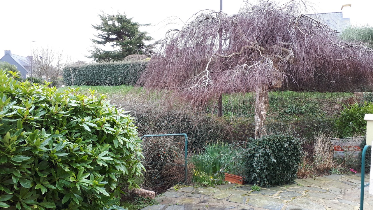 Photo of Outdoor in Louannec