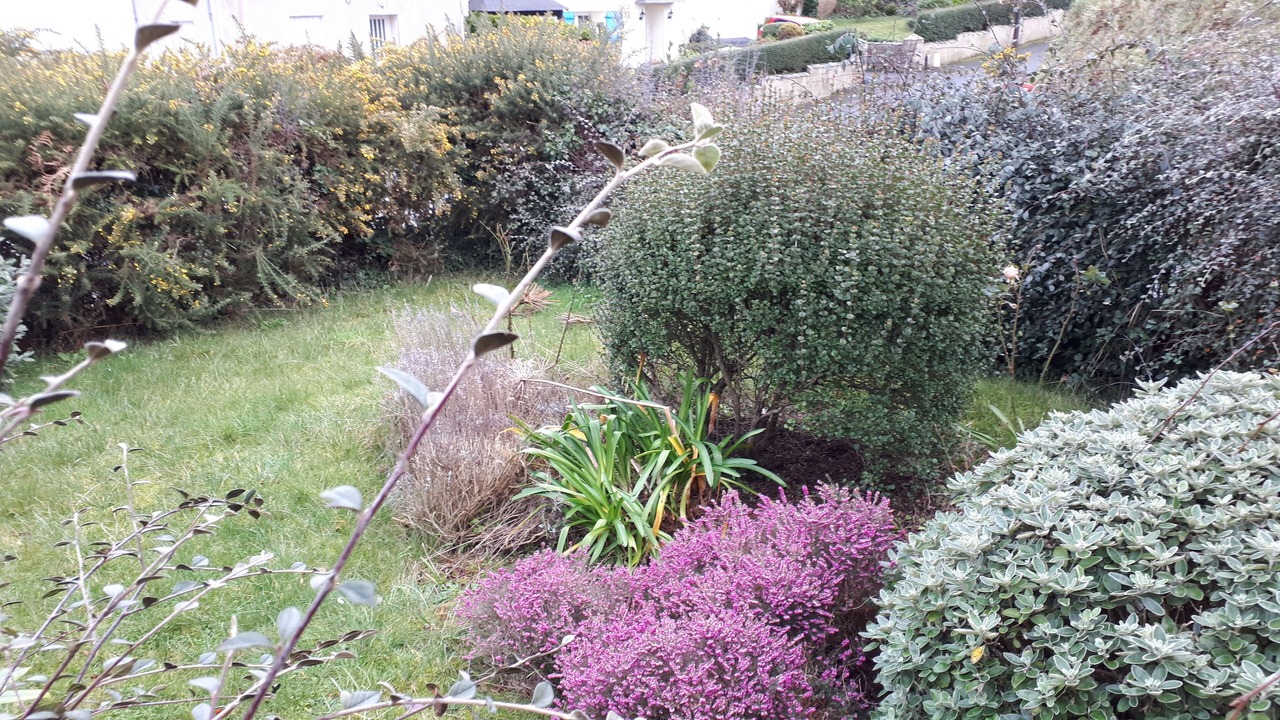 Photo of Outdoor in Louannec