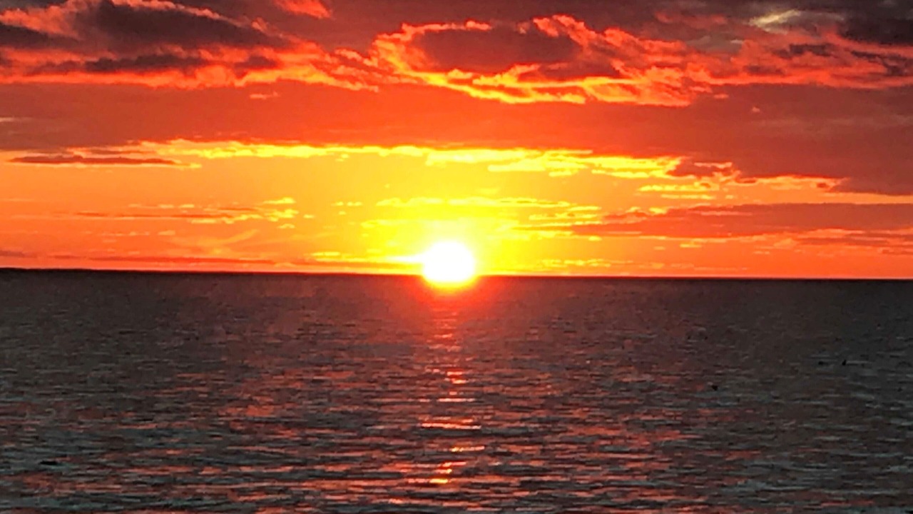 Photo of Others in Eel Point
