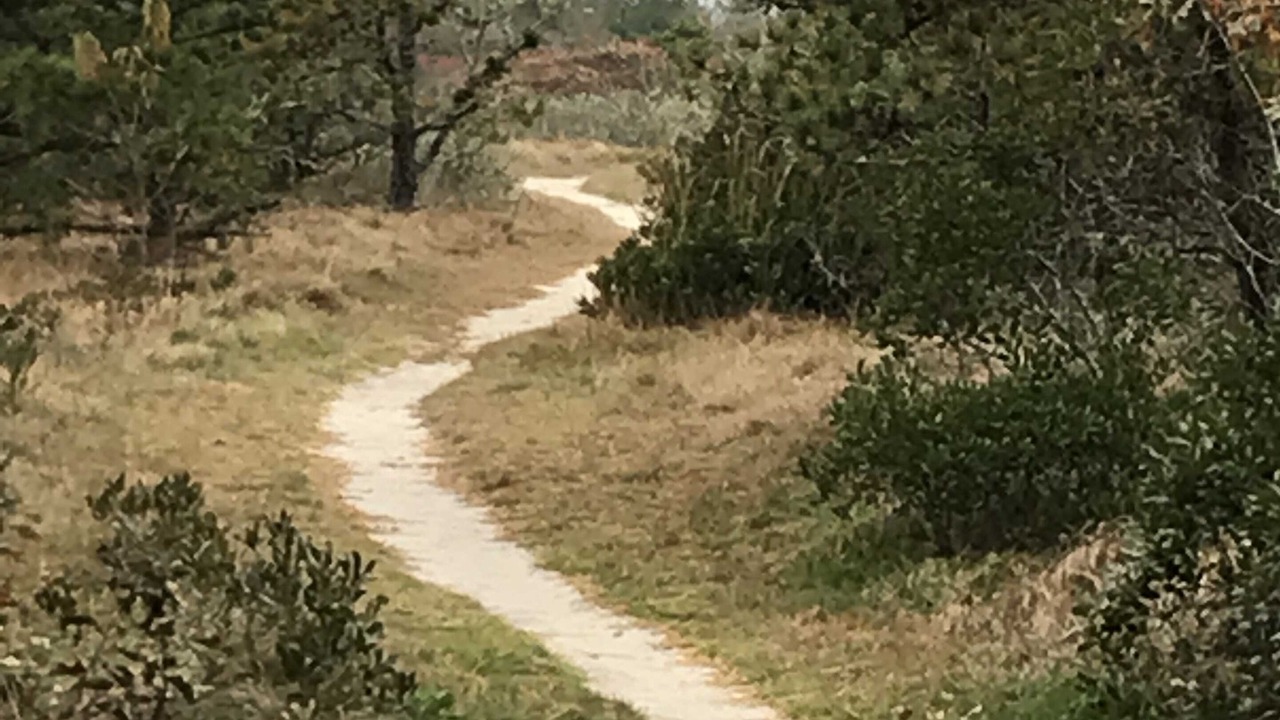 Photo of Outdoor in Eel Point