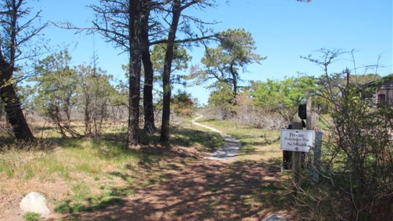 Photo of Others in Eel Point