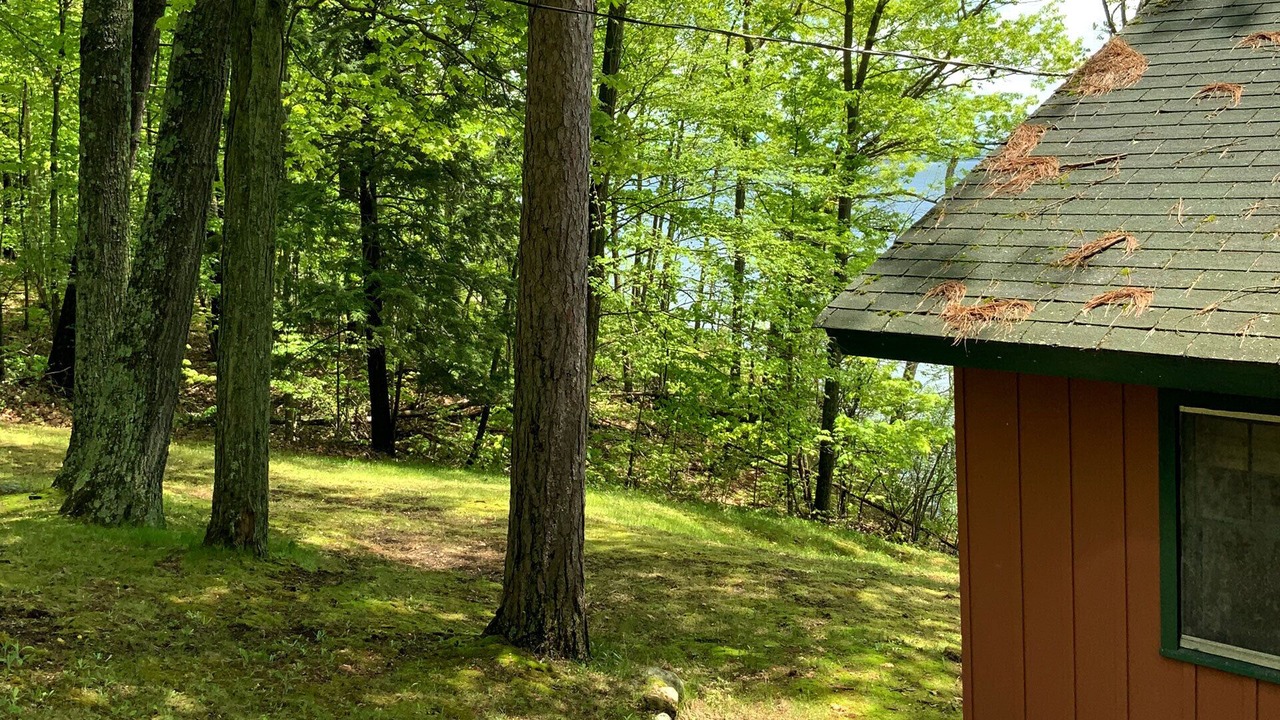 Photo of Outdoor in Westport