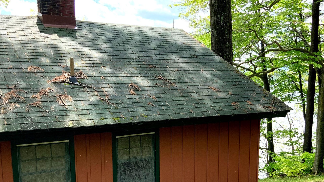 Photo of Outdoor in Westport
