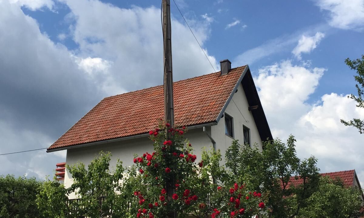 Photo of Outdoor in Smoljanac