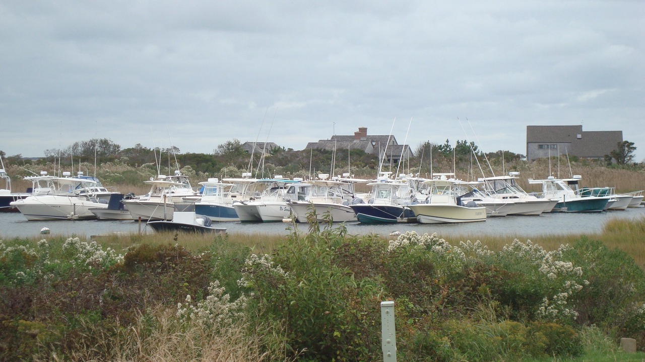 Photo of Others in Madaket