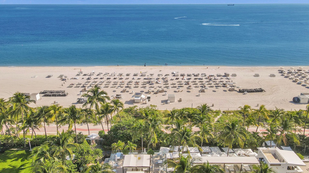 Photo of Others in South Beach