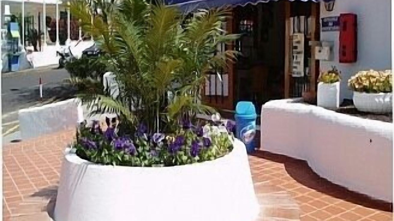 Photo of Others in Los Cristianos