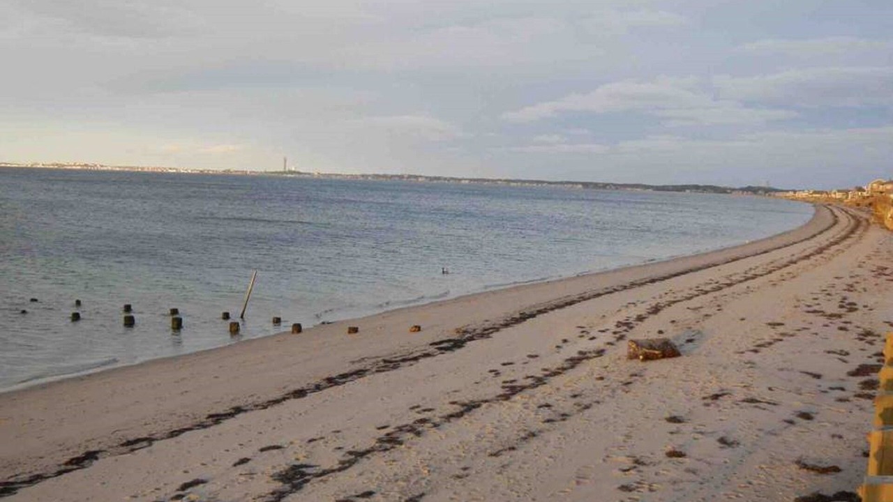 Photo of Others in North Truro