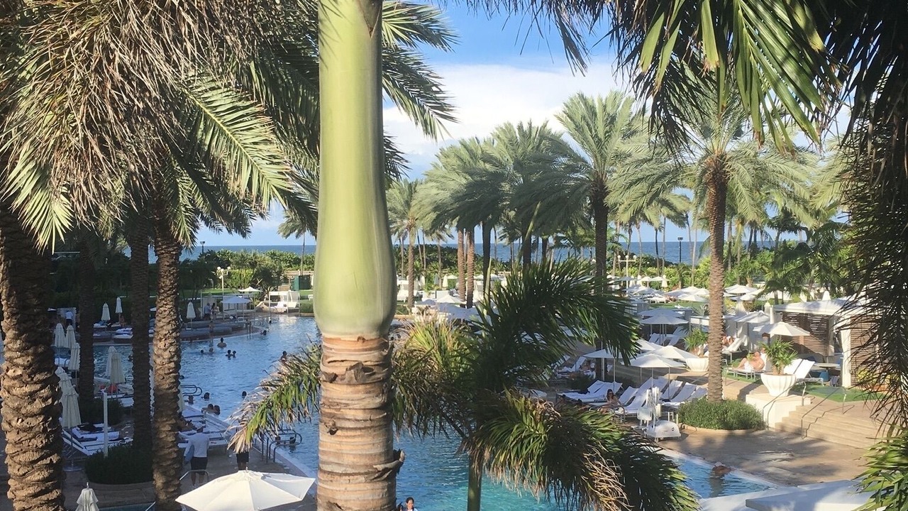 Photo of Outdoor in Mid Beach