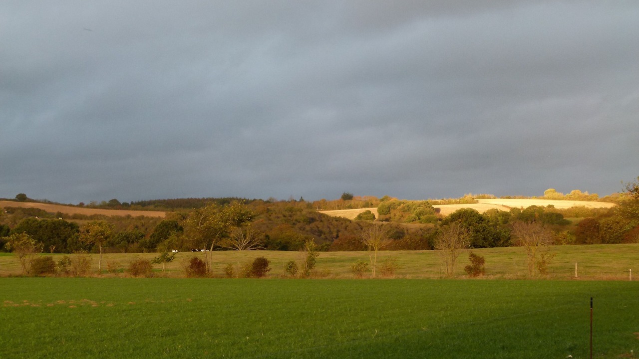 Photo of Outdoor in Hillion