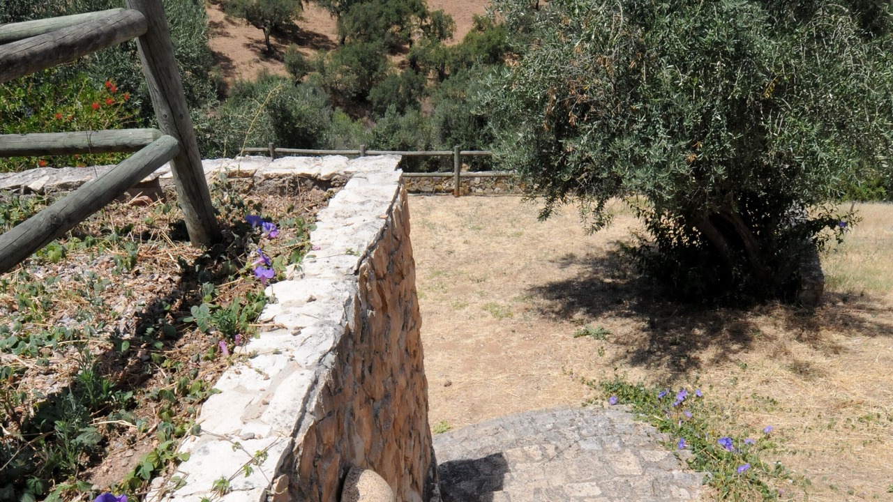 Photo of Outdoor in Estremoz
