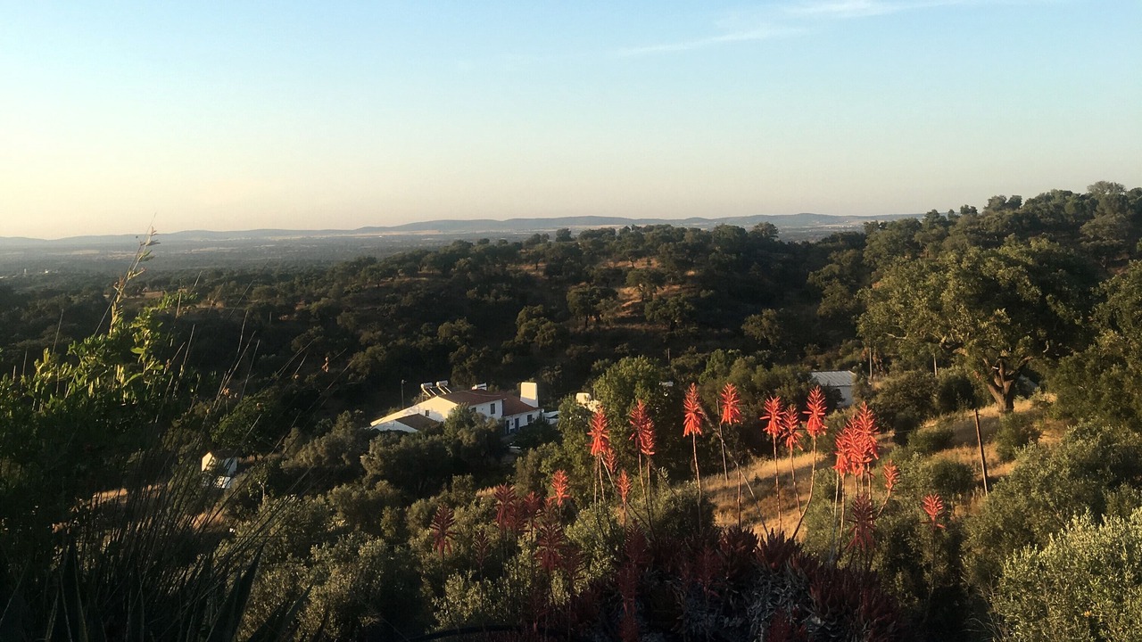 Photo of Outdoor in Estremoz