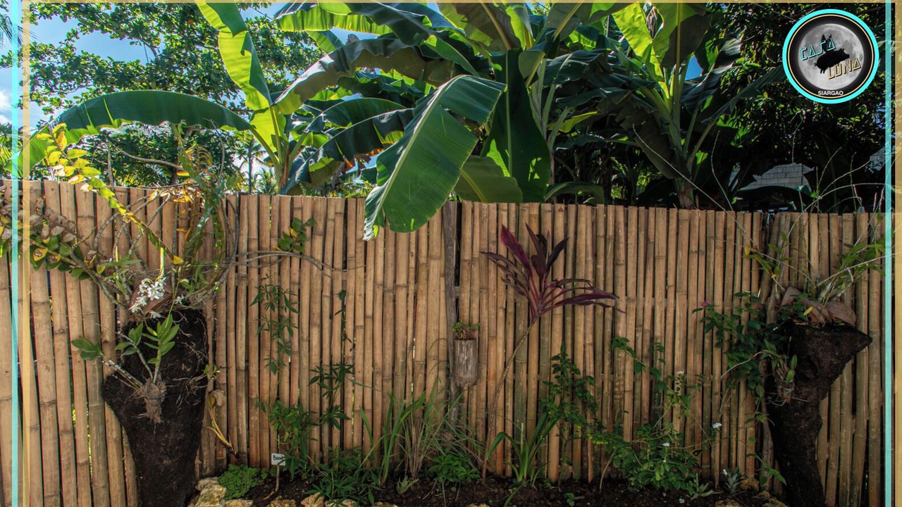 Photo of Outdoor in Catangnan