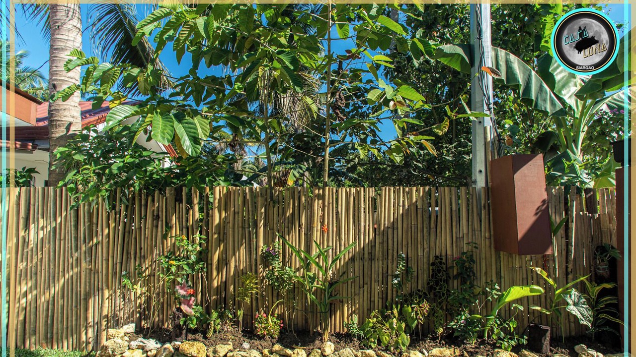 Photo of Outdoor in Catangnan