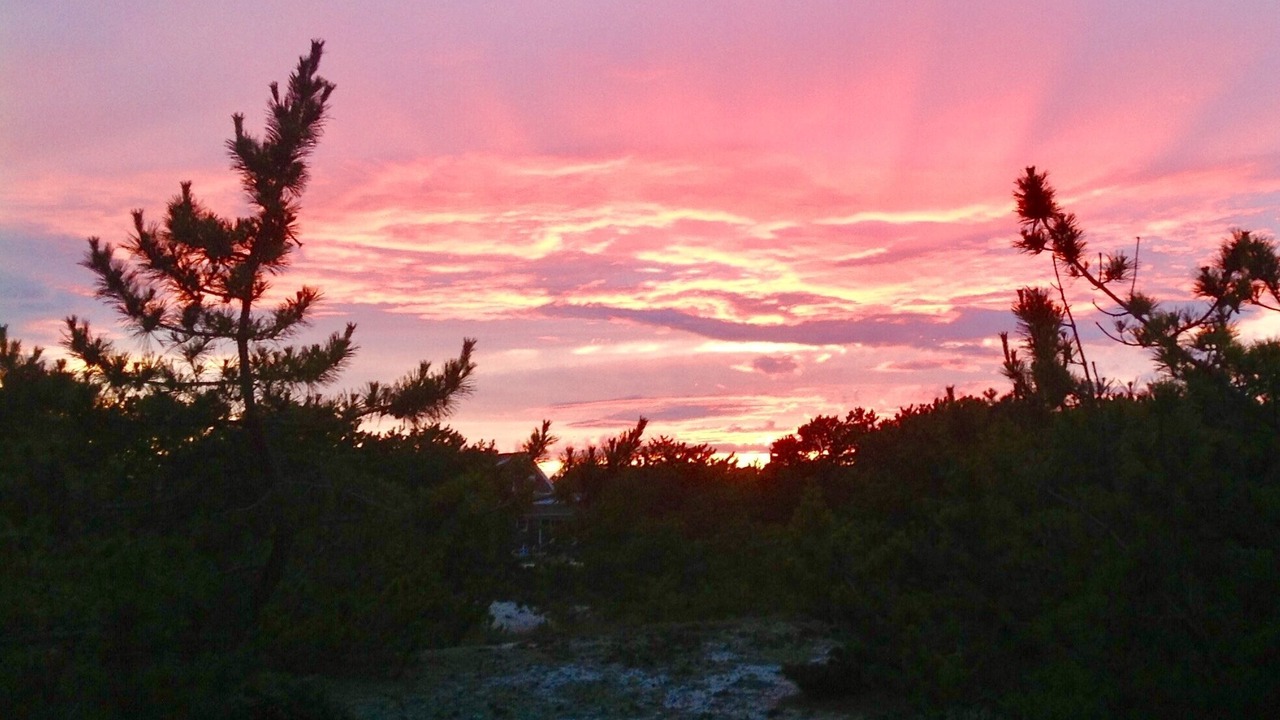 Photo of Others in Amagansett