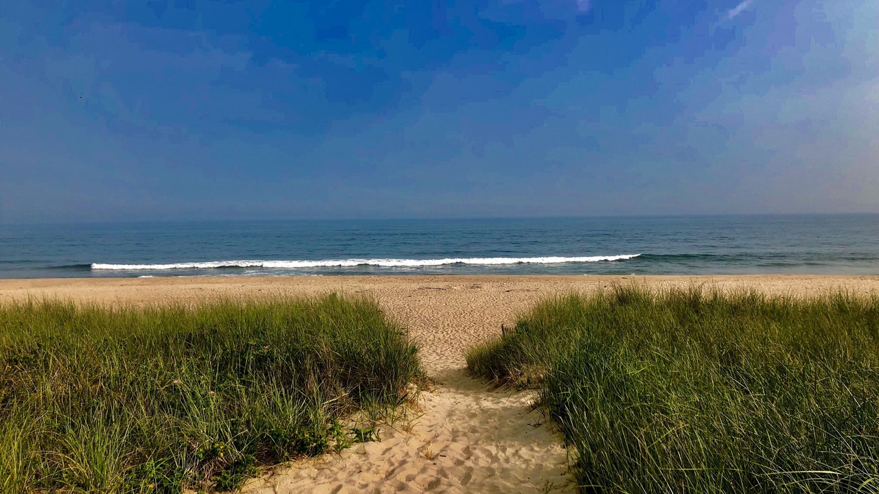Photo of Others in Amagansett