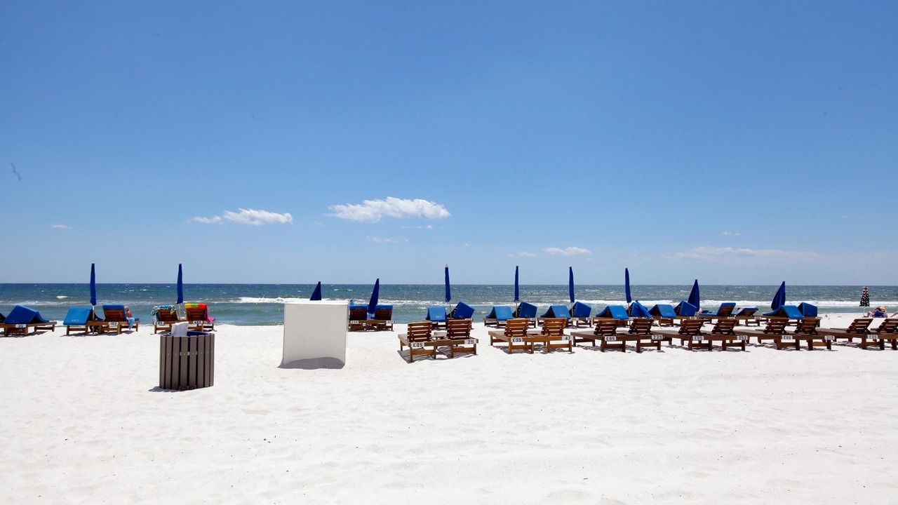 Photo of Others in Biltmore Beach