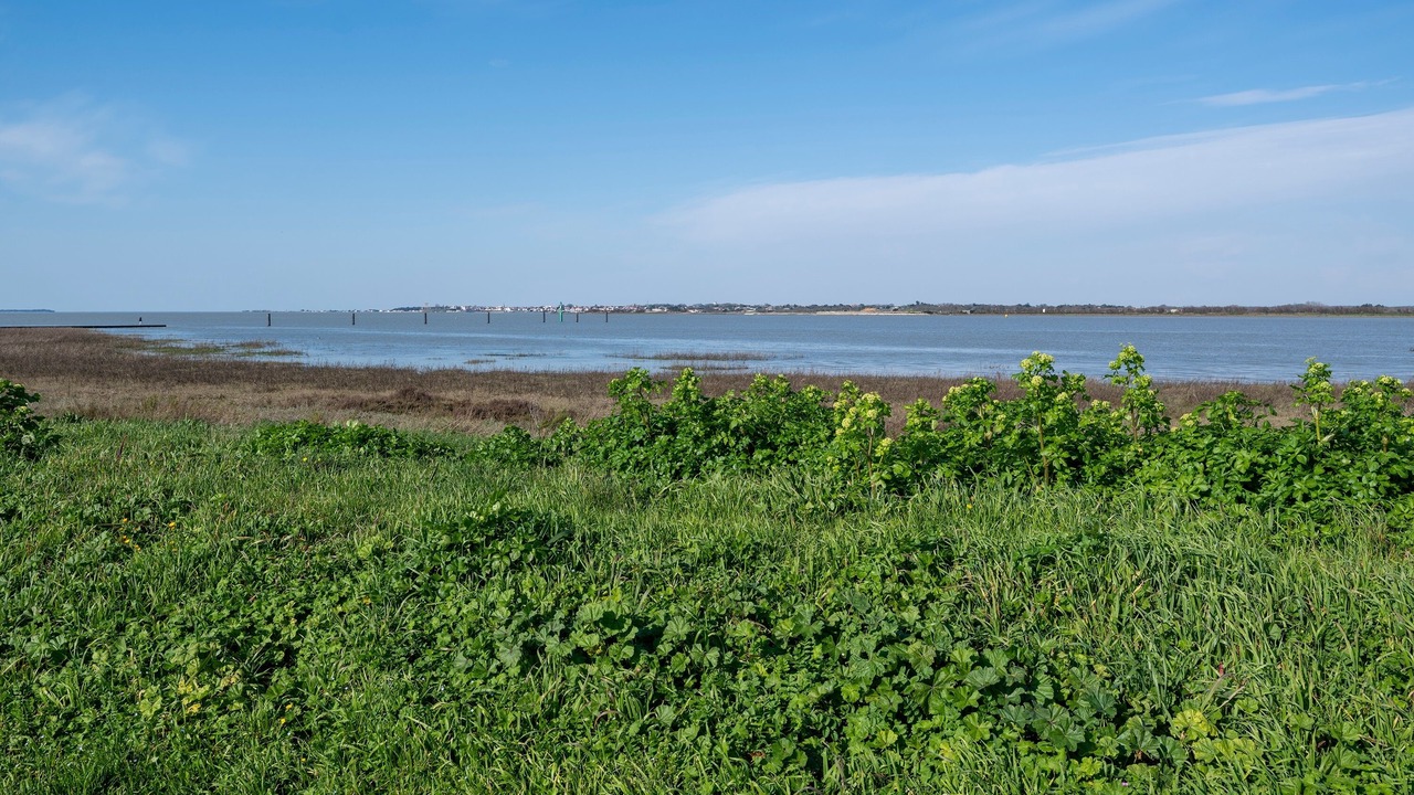 Photo of Others in Port-des-Barques