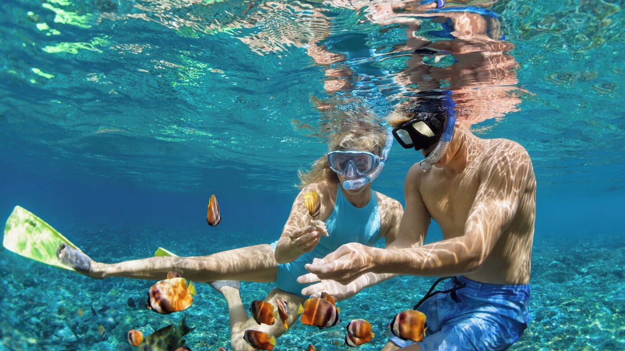 Photo of Others in Port Cogolin