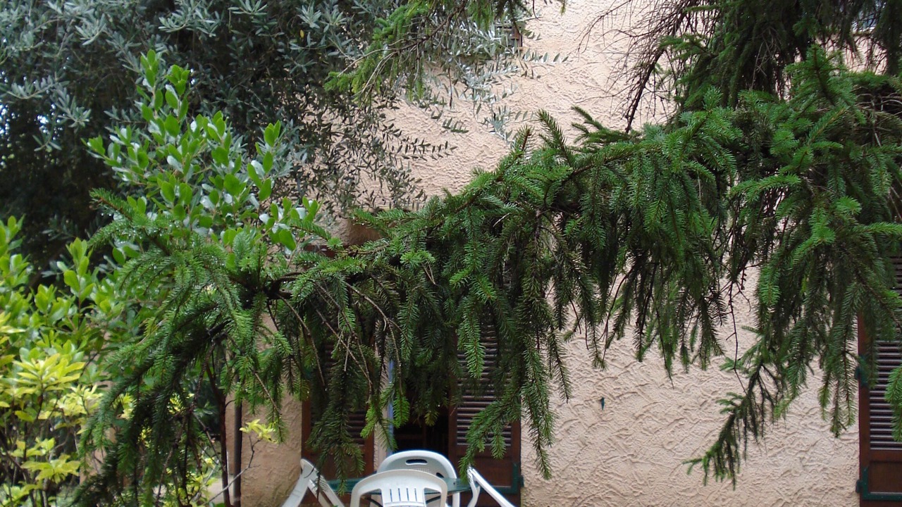 Photo of Patio Balcony in La Bocca Nord