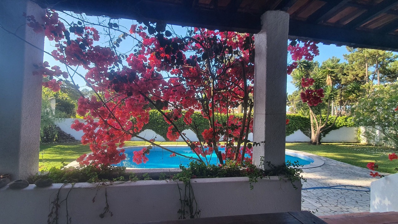 Photo of Outdoor in Verdizela