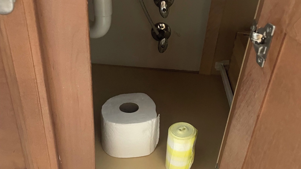 Photo of Bathroom in Auburn