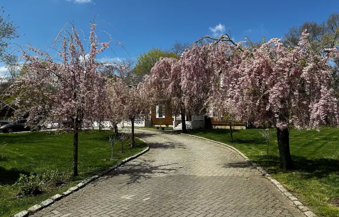 Photo of Outdoor in Muttontown
