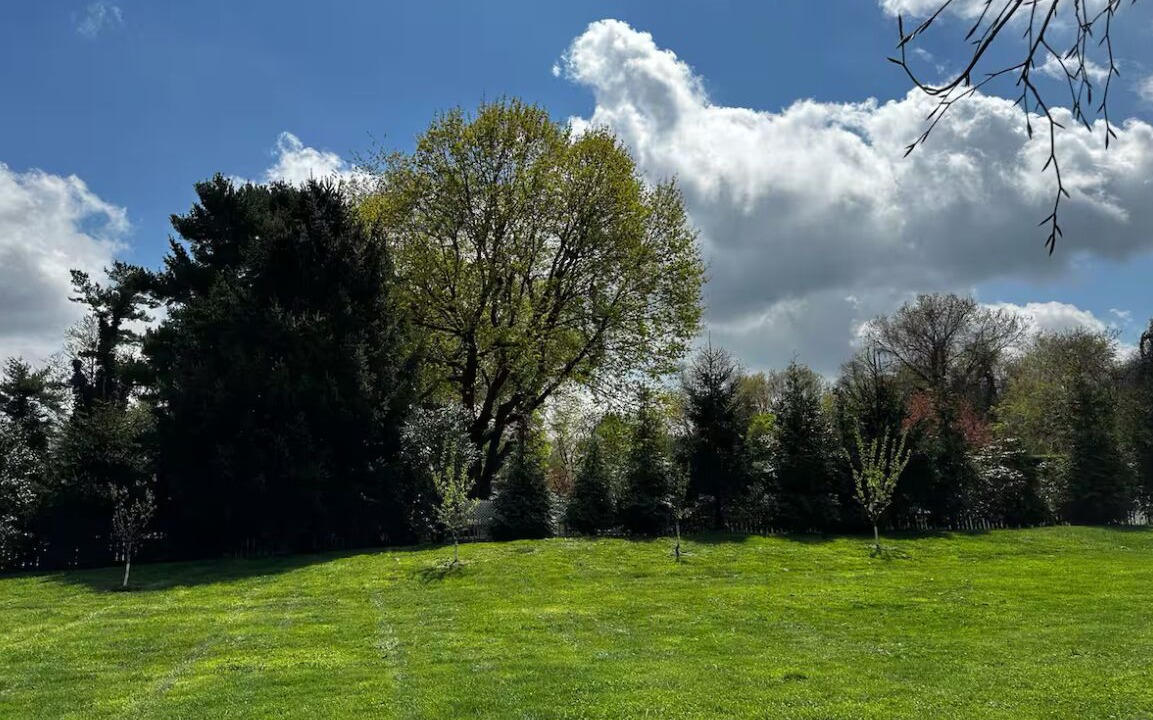 Photo of Outdoor in Muttontown