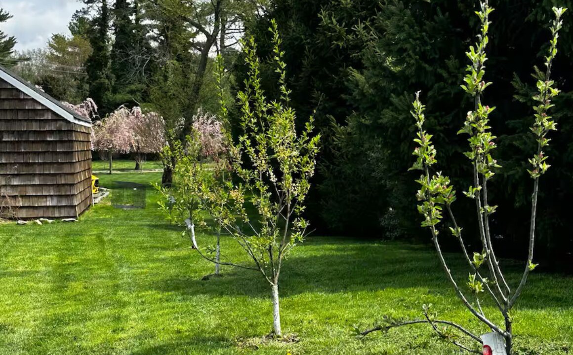 Photo of Outdoor in Muttontown