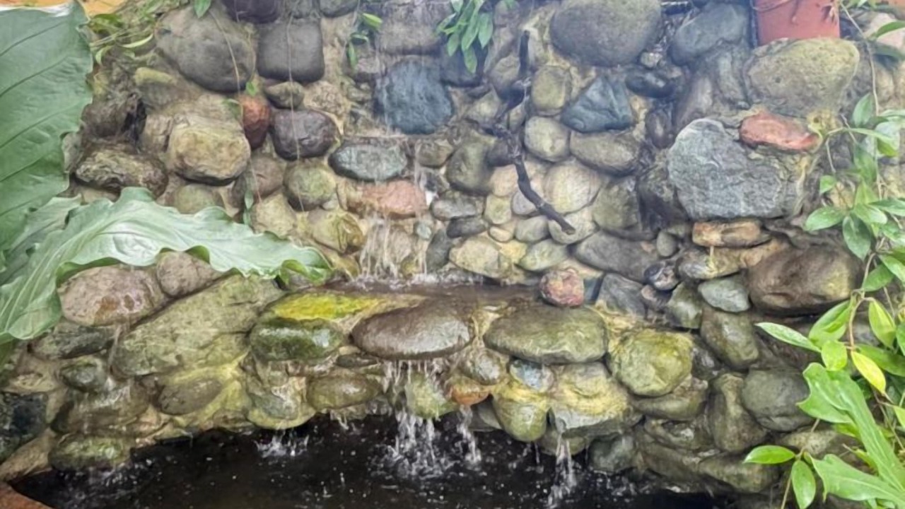 Photo of Outdoor in Binalonan
