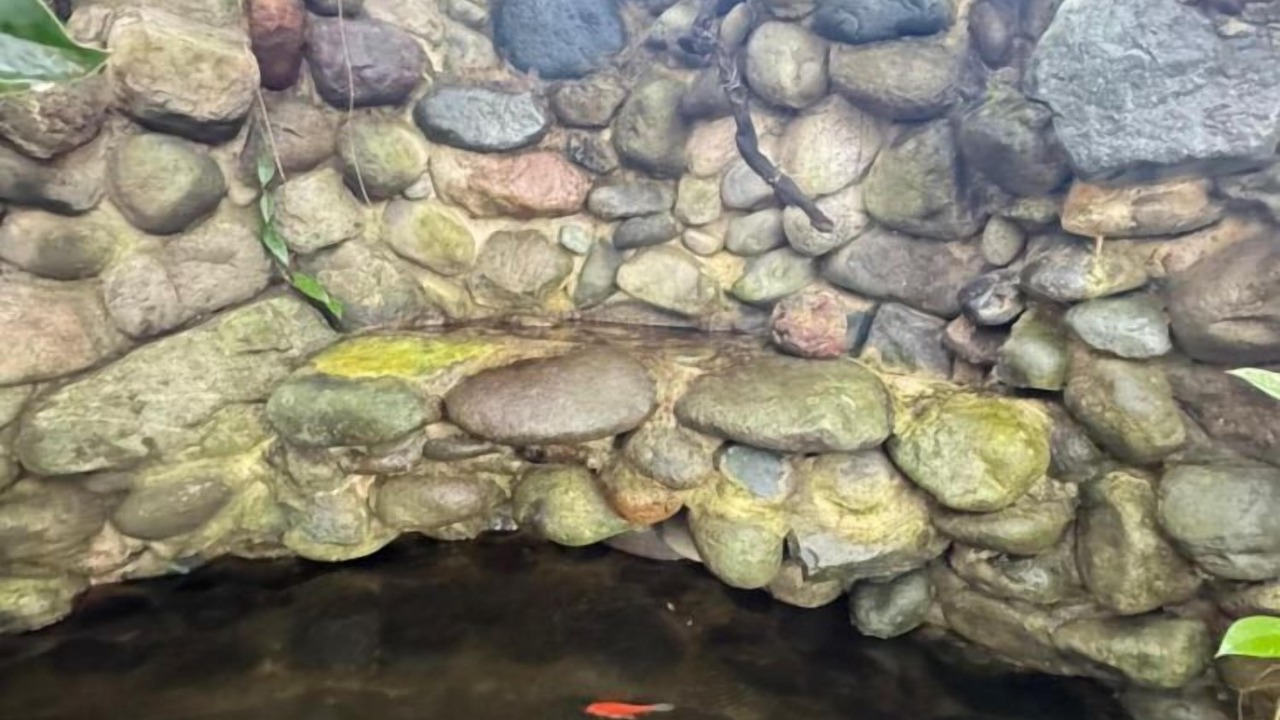 Photo of Outdoor in Binalonan