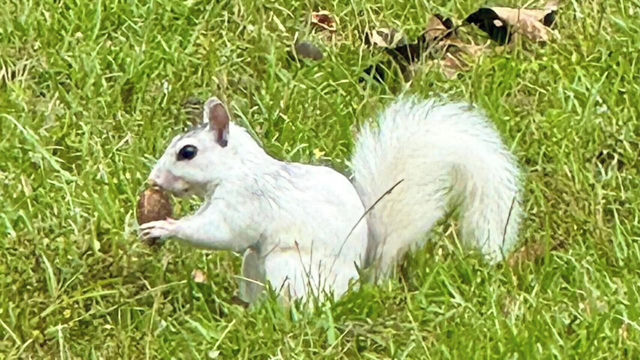 Photo of Others in Quincy