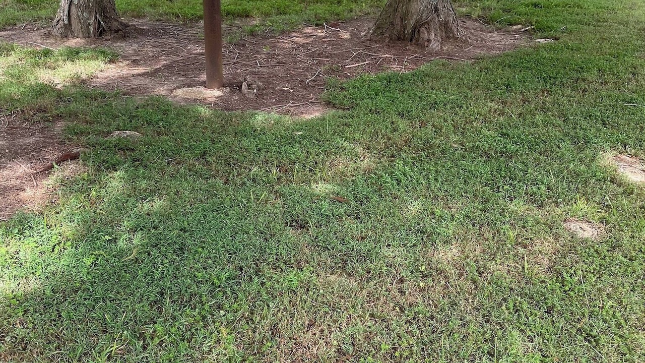 Photo of Outdoor in Magnet