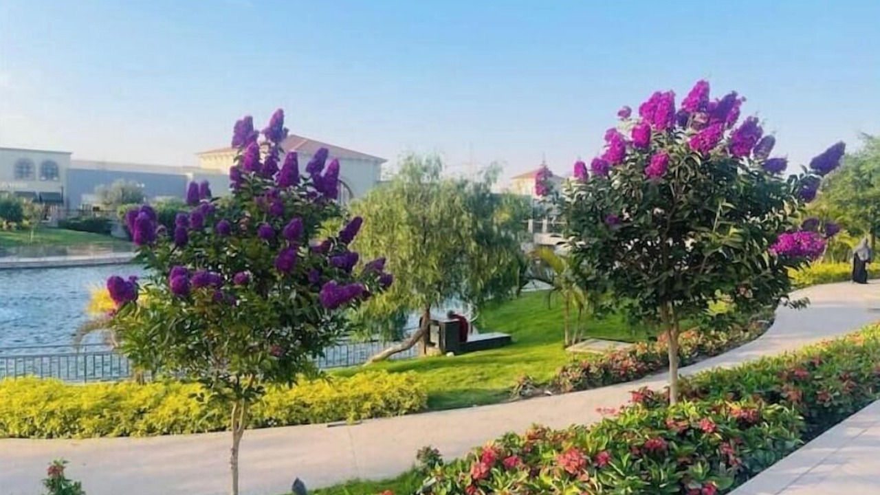Photo of Outdoor in Abdin