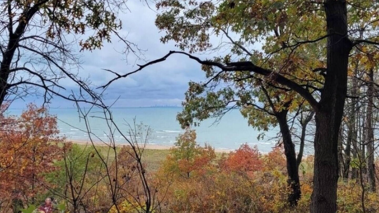 Photo of Others in Michigan City